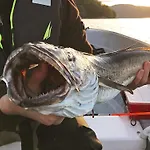 6 Person In Eidsvag-by Traum