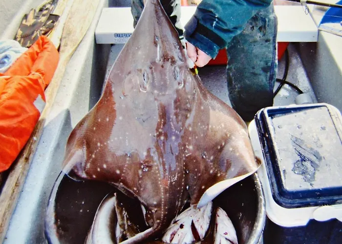 6 Person In Eidsvag-by Traum Vakantiehuis *